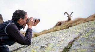 Capture the Soul of the Wild:Wildlife Photographyas a Career